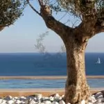 Presidential Villa for Rent in Mykonos – Greece (34)
