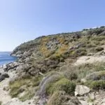Private_Villa_in_Mykonos_KFS1-31