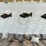 Mykonos_Greece_Luxury_Villa_to_Rent_Panormos_PNS1