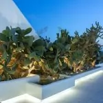 Private_Villa_in_Mykonos_Greece_for_Rent_Blue_Collection_MTL2 (38)