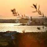 Greece_Luxury_Villas_Paros_PRC-4-(17)