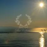 Mykonos_Luxury_Villas_KRC2-(77)