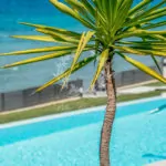 Zakynthos_Luxury_Villas_ZTR-3-(17)