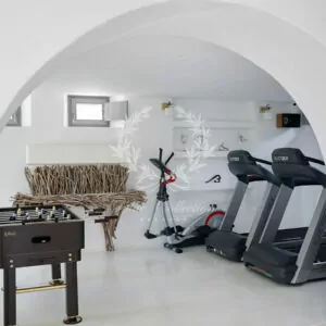 Syros_Luxury_Villas_SRV-2-(110)