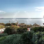 Athens_Luxury_Villas_ATH-5-(13)