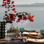 Athens_Luxury_Villas_ATH-5-(16)