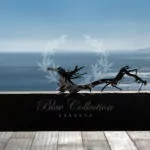 Athens_Luxury_Villas_ATH-5-(5)