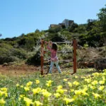 Crete_Luxury_Villas_CRV-1-(40)