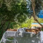 Crete_Luxury_Villas_EGV-1-(36)