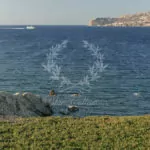 Mykonos_Luxury_Villas_KRC-14-(46)