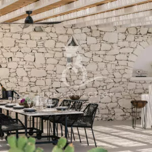 Luxury-Villas-Mykonos-VPS-1-(61)