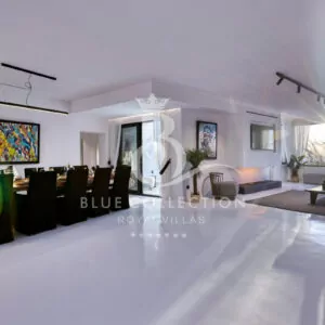 Luxury_Villa-Mykonos_ALC-4-(51)