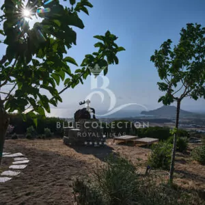 Paros_Luxury_Villas_PRS-6-(10)