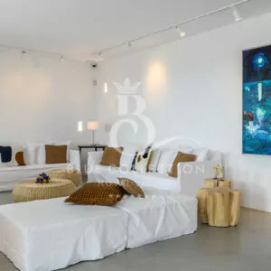Mykonos_Luxury_Villas_TRD-1-(2)