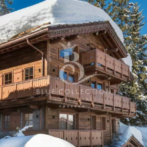 Courchevel_1850_Luxury_Ski_Chalets_FCR-34-(37)