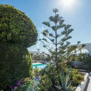 Mykonos_Luxury_Villas-ForSale_AGN-6-(11)