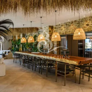 Mykonos_Luxury_Villas_OMM-1-(30)