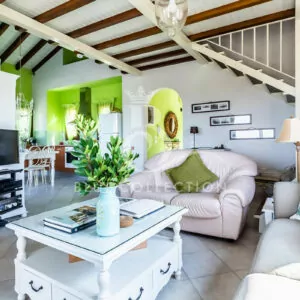 Skopelos_Luxury_Villas_SKP-3-(4)