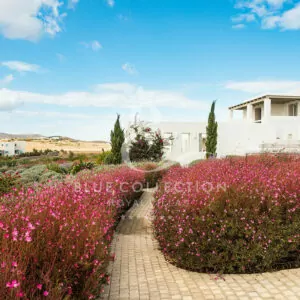 Paros_Luxury_Villas_PRS-14-(8)