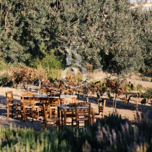 Peloponnese_Luxury_Villas_VILLA-23 (6)