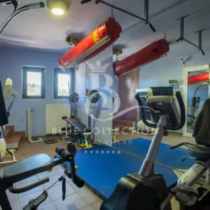Athens-Riviera_Luxury-Villa-For-Sale_APV-1-(17)