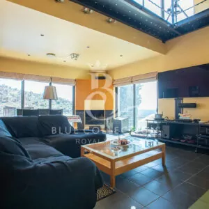 Athens-Riviera_Luxury-Villa-For-Sale_APV-1-(19)