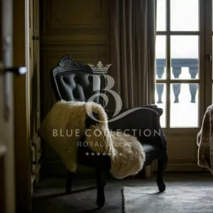 Courchevel_1850_Luxury_Ski_Chalets_FCR-62-(14)